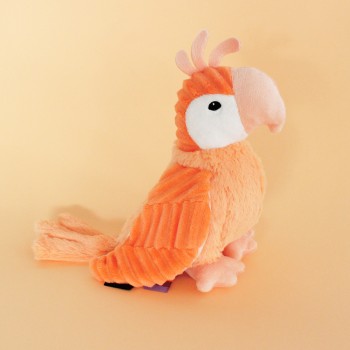 Ptipotos Répetou el Loro naranja